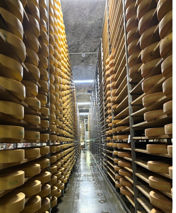 Blogbeitrag - Österreich Käserei Plangger