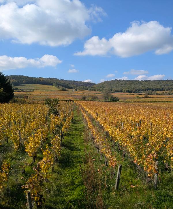 Blogbeitrag - Workshop Frankreich