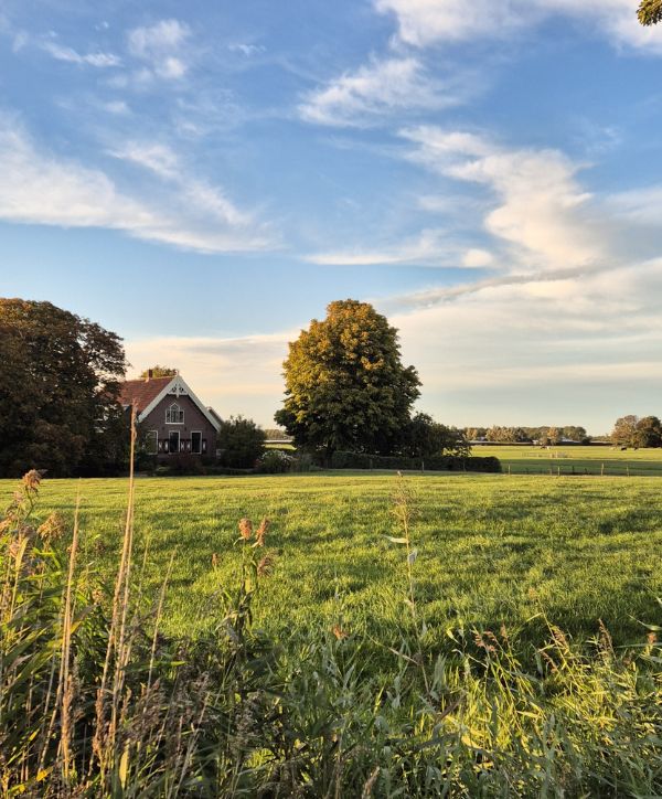Gründe Landschaft in den Niederlanden