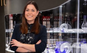 Blogbeitrag Österreich Bus Austria Workshop