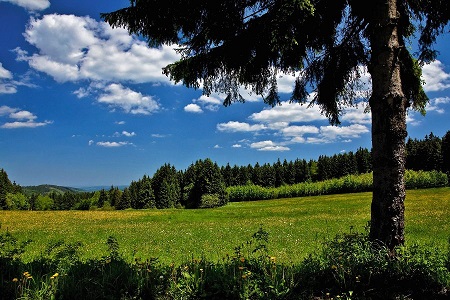 Reisetipp des Jahres